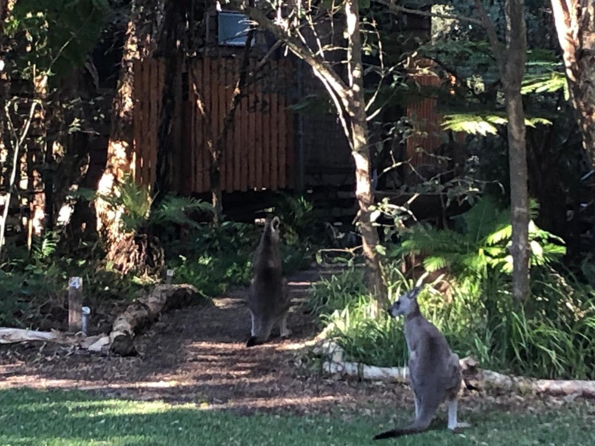 Hotel Wanderers Retreat Nelson Bay Exterior foto
